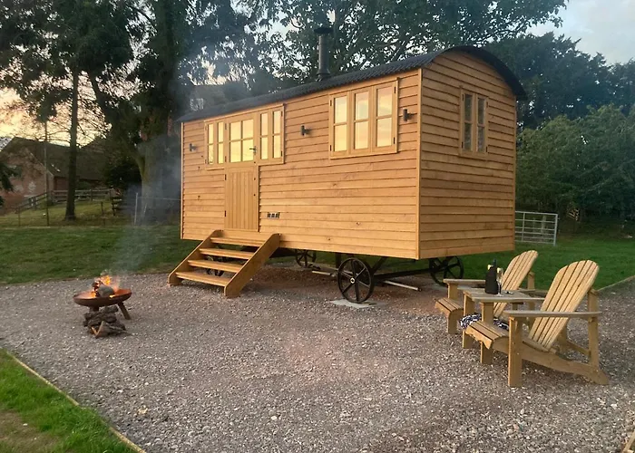 Shepherd\'S Hut - The Mule