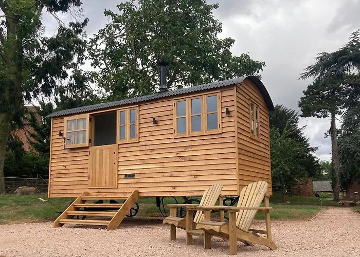 Shepherd\'S Hut - The Mule