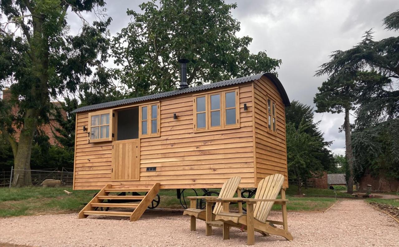 Shepherd's Hut - The Mule