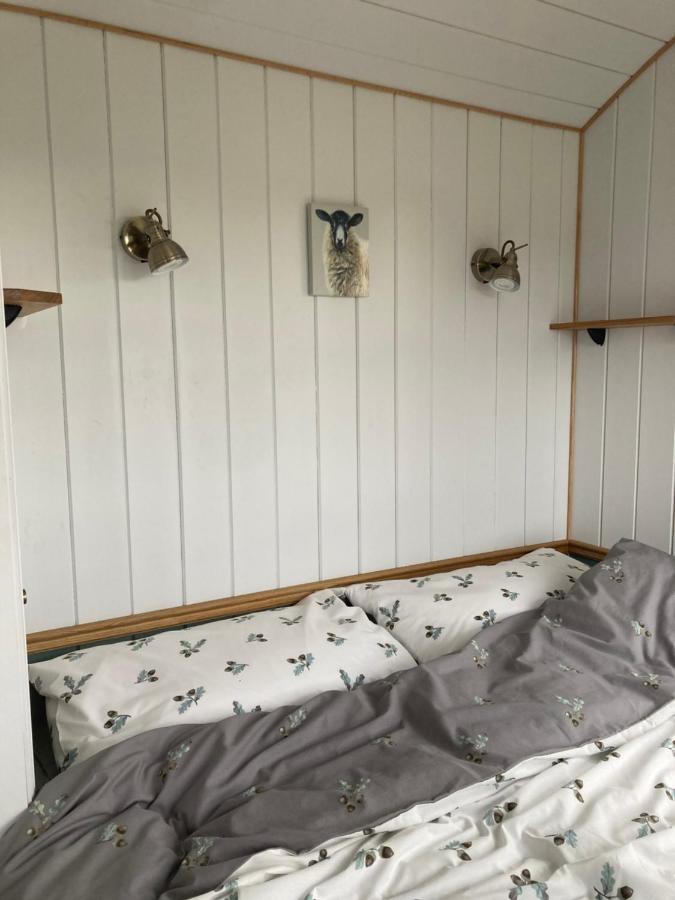 Shepherd's Hut - The Mule